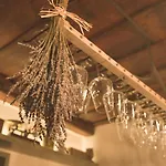 公寓式酒店 Stodola Bela pod Bezdezem
