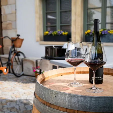 Hotel apartamentowy Stodola Bela pod Bezdezem